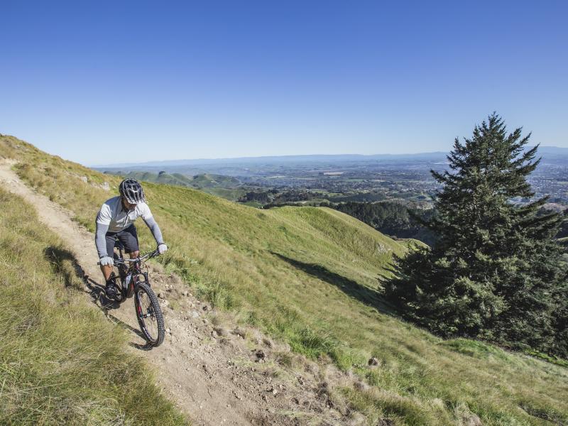 Te mata peak top mountain biking