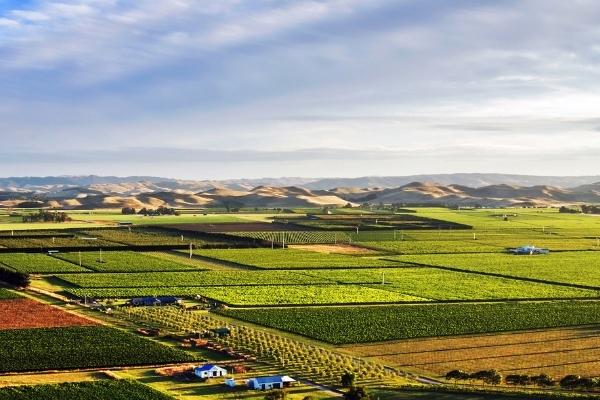 Ash Ridge 600x400