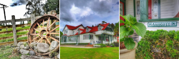 Ashcott Homestead 600x200