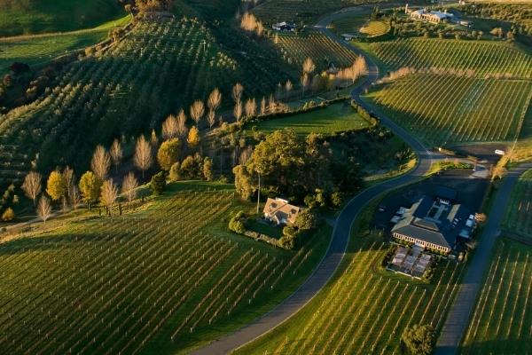 Black Barn Vineyards 600x400