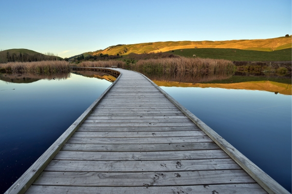 Pekapeka Wetlands