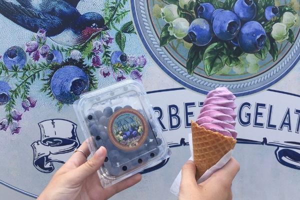 Icecream Spots Bay Blueberries