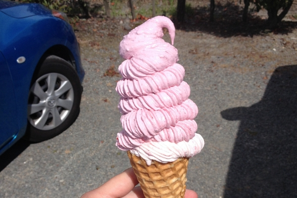 Icecream Spots The Fruitshop