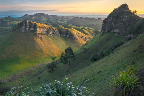 JAB Te Mata Park resized