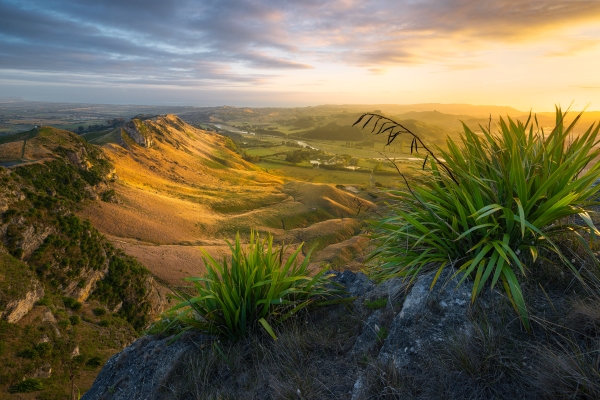 JAB Te Mata Peak Scenic View resized