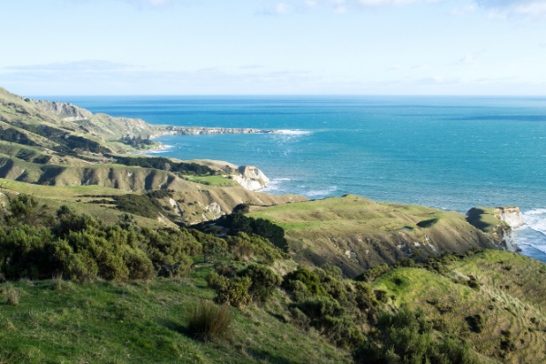 Mahia Peninsula 600x400