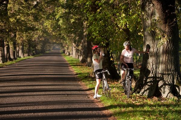 Oak Avenue cyclists 600x400