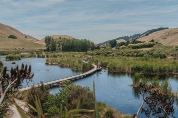 Pekapeka Wetlands 600x400