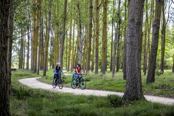 Poplar Lane cyclists 600x400