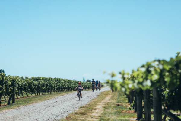 Te Awanga Cellar Door 600x400 1