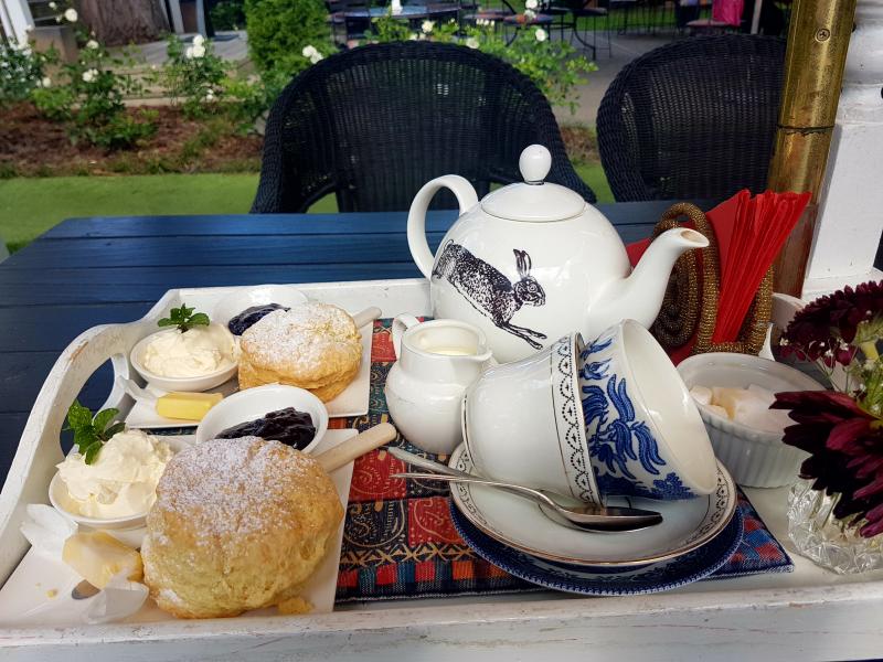 Devonshire Tea at Birdwoods Gallery