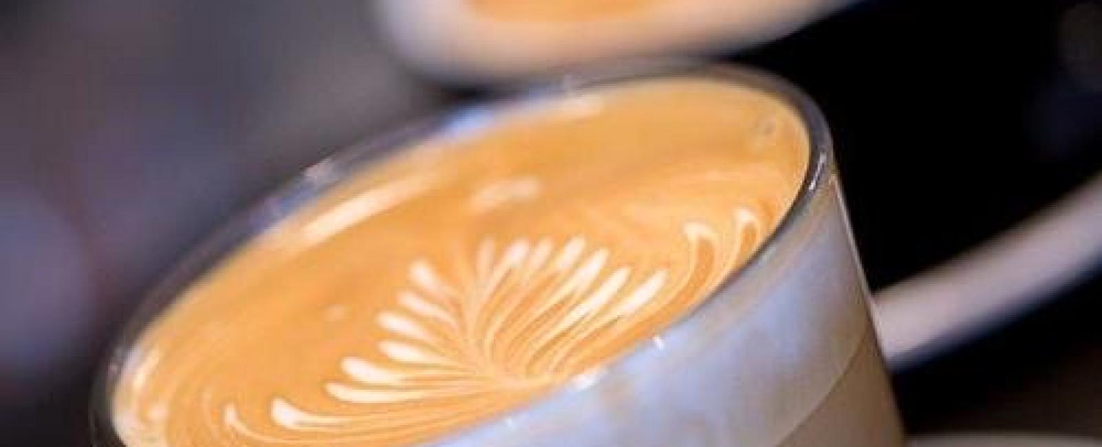 Adoro Cafe Napier
