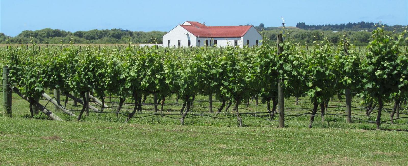 Askerne Winery