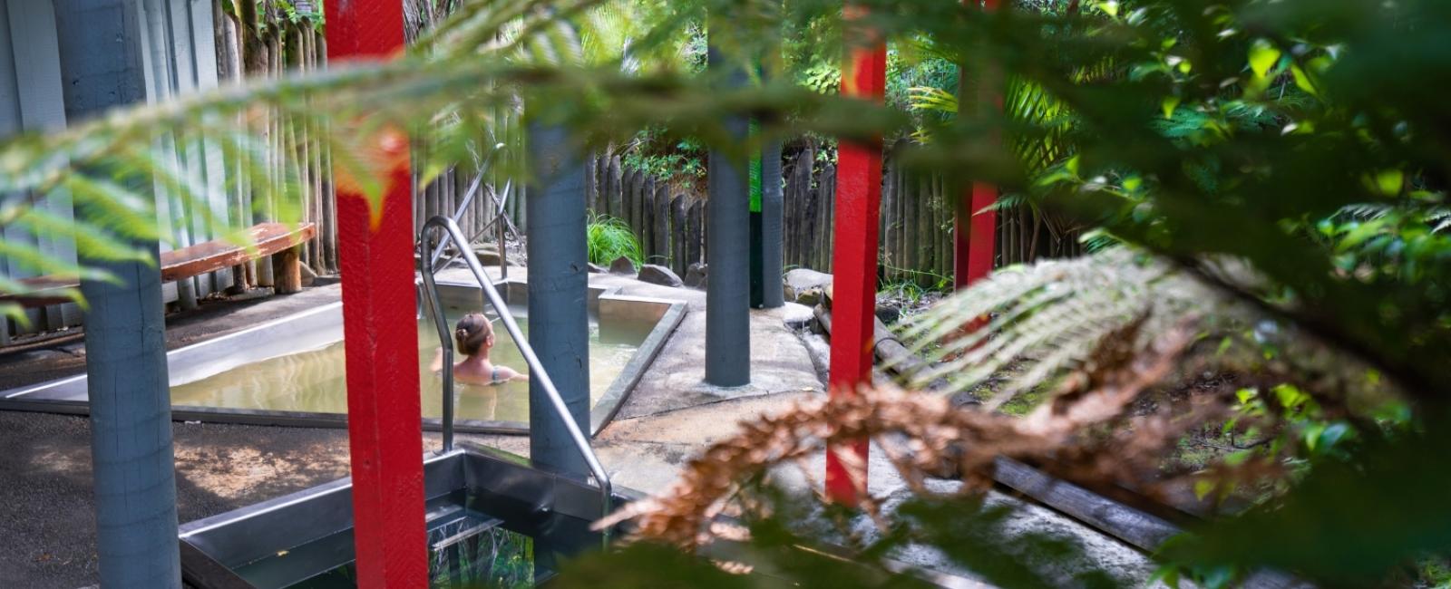 Morere Hot Springs