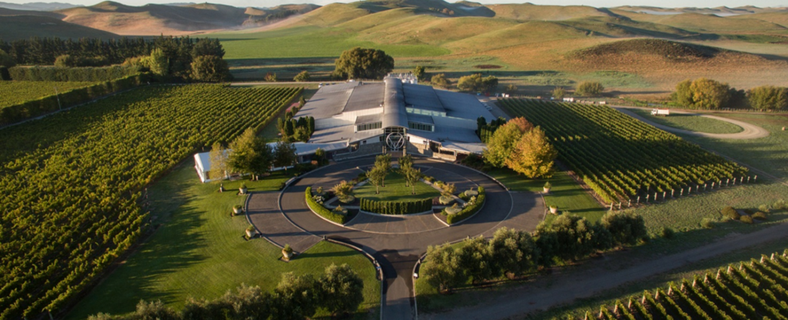 Sileni Estates - Hawke's Bay winery