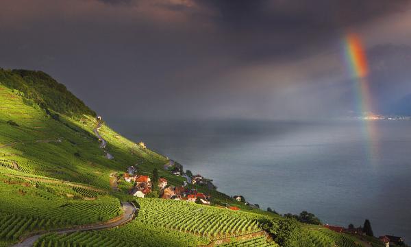 lausanne video