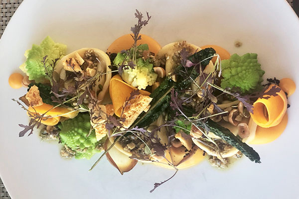 Elephant Hill tortellini